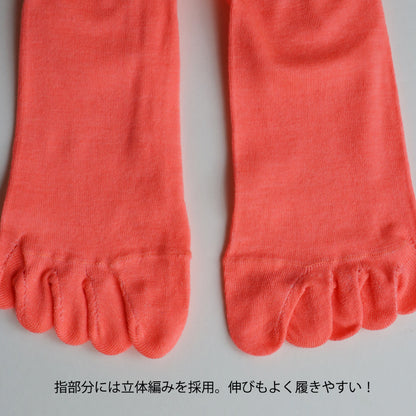 TAWARA タワラ｜吸水速乾 幅広ゴムで締めつけ感なしチラミセ ハイゲージ ５本指ショートソックス ｜t30904